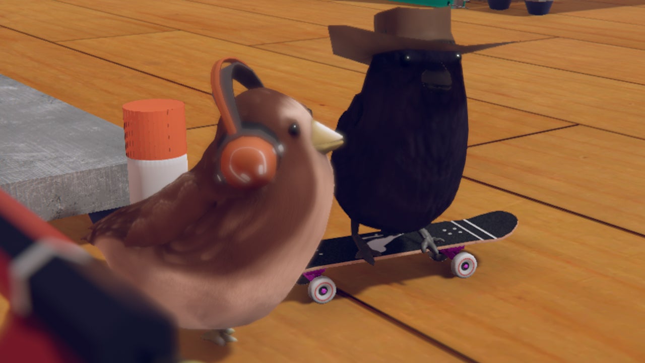 Skatebirds süße Skateboard-Vögel versuchen, wie wir alle, nur ihr Bestes