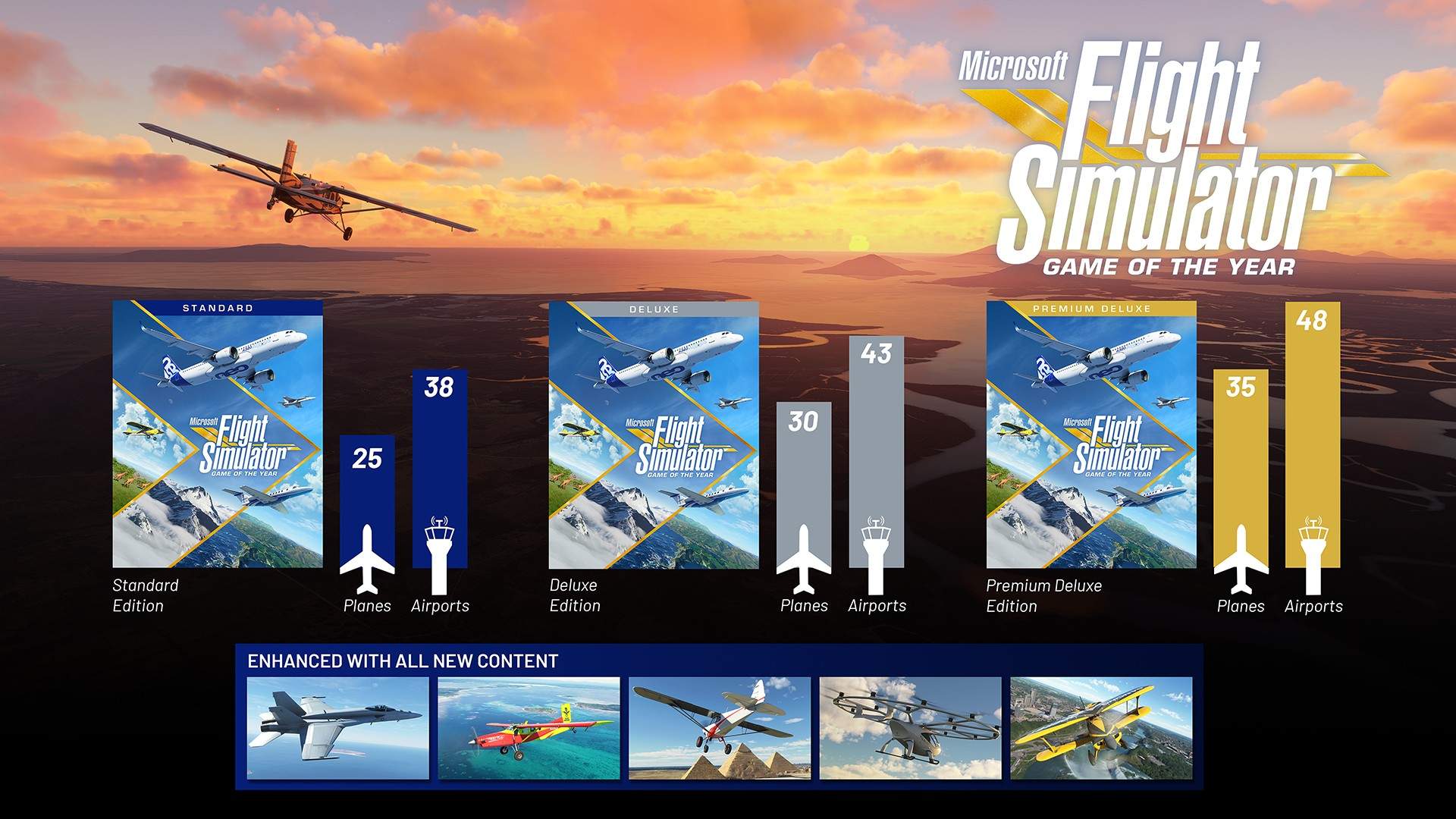 Microsoft Flight Simulator - GOTY-Infografik