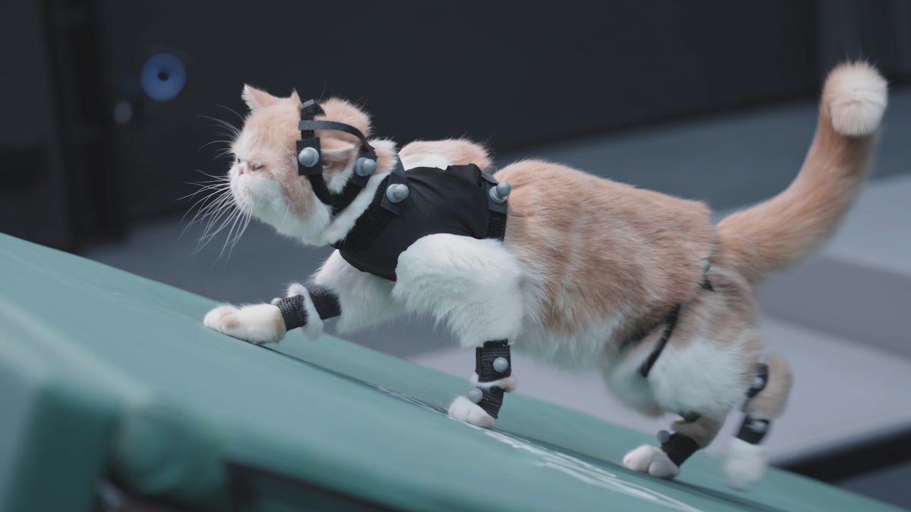 Black Myth: Wukong – Comedy-Trailer zeigt absichtlich fehlerhaftes Gameplay und viele Katzen