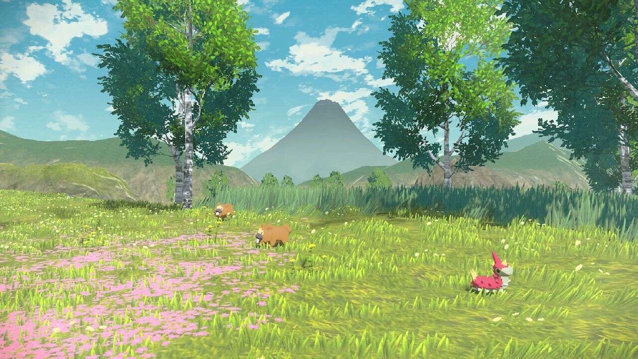 Wo finde ich federnde Pilze in Pokemon Legends: Arceus für das Pilzkuchen-Marketing?