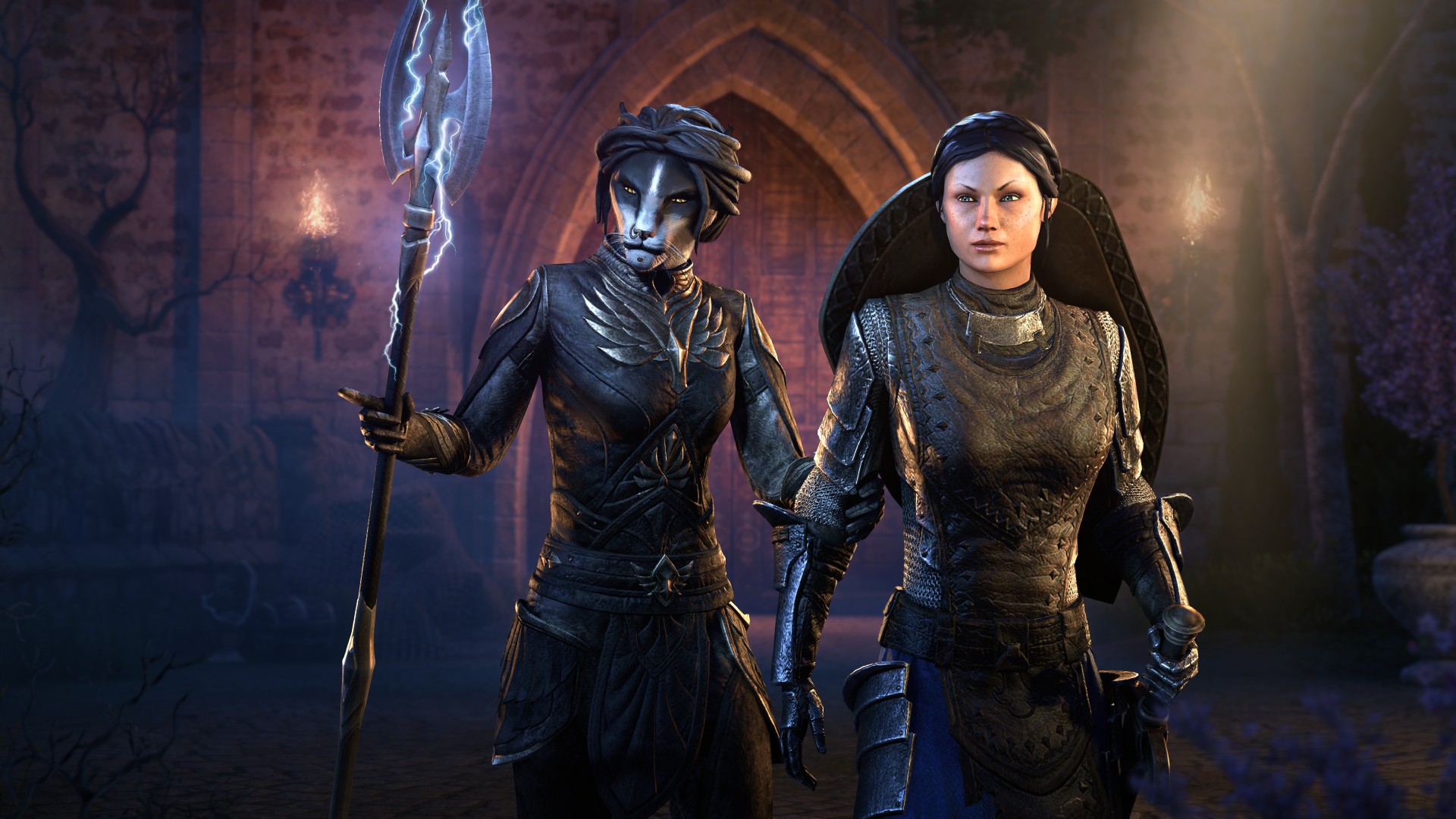 The Elder Scrolls Online – Hohe Insel