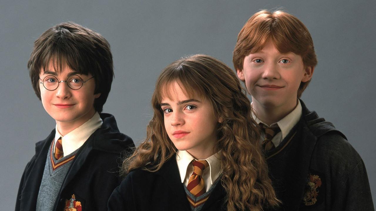 Harry Potter MMO wurde Anfang der 2000er Jahre von EA eingestellt, weil es dachte, die IP würde nicht halten