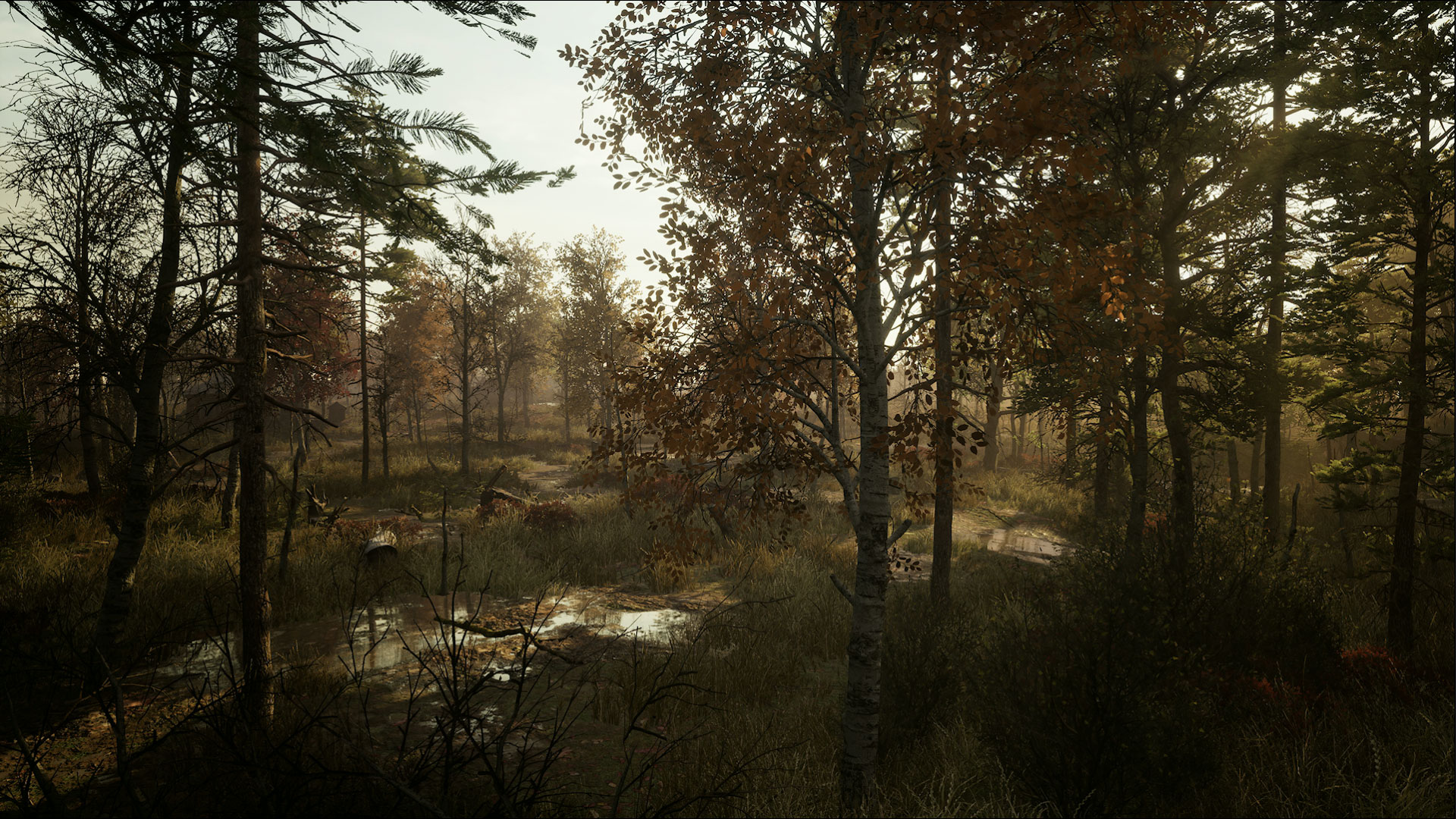 äußerer Wald