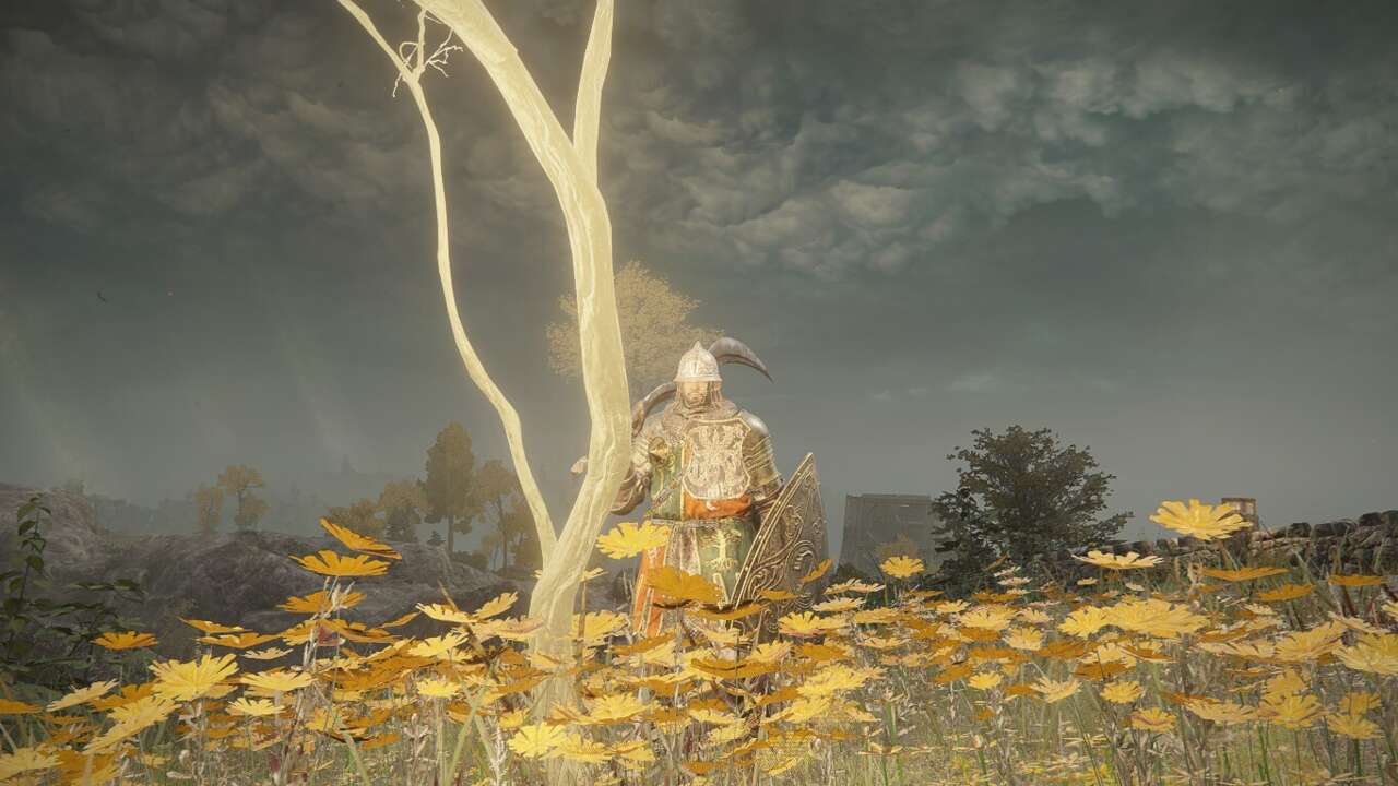 Elden Ring Golden Seed und Sacred Tear Locations