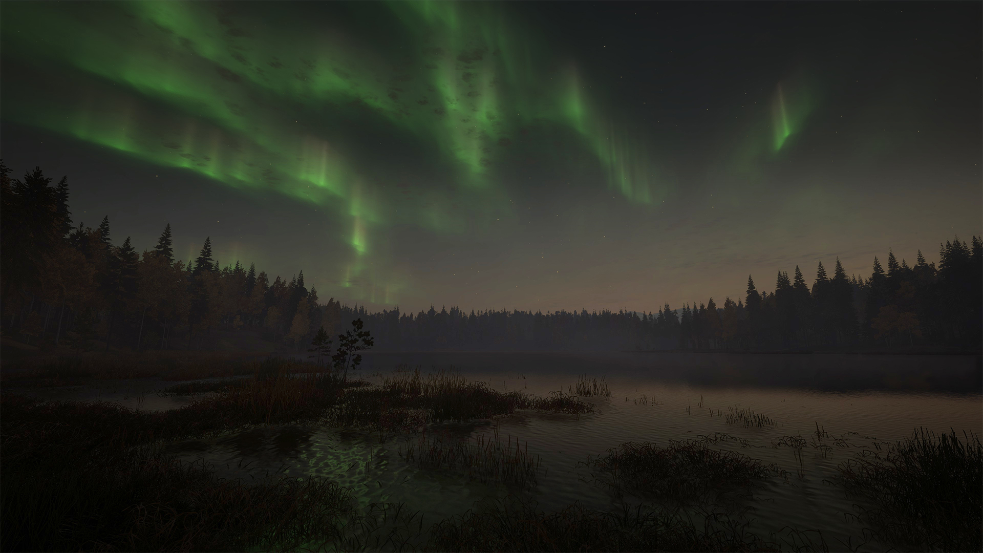 Nordlichter