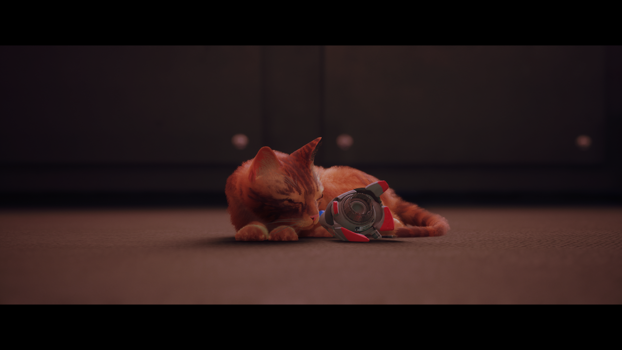 Wo man jede Erinnerung in Stray findet