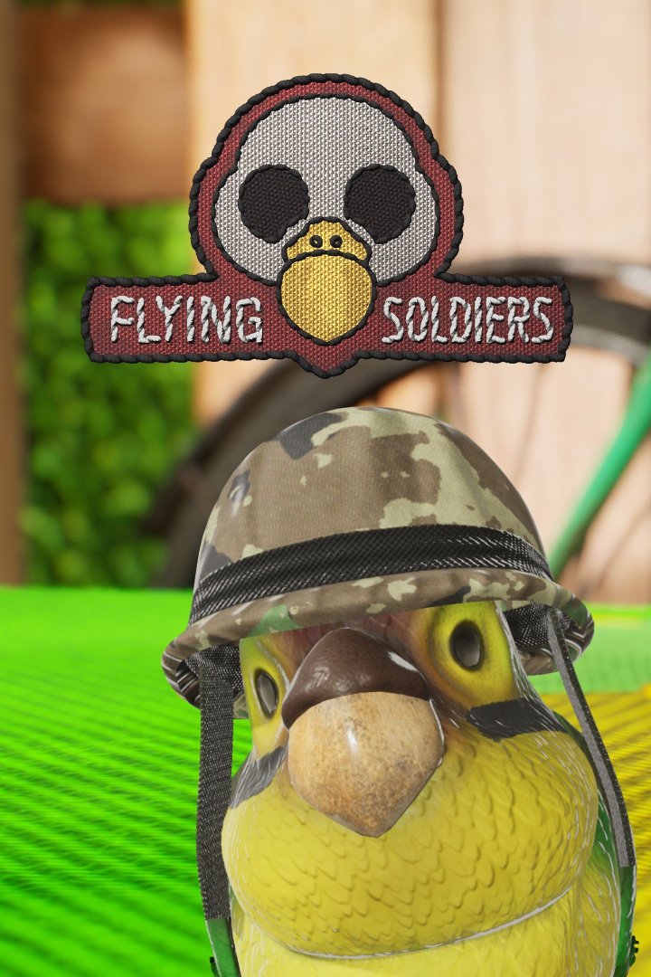 Fliegende Soldaten Box Art.-Nr