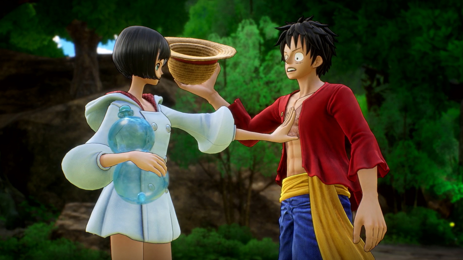 One Piece Odyssey Heldenbild
