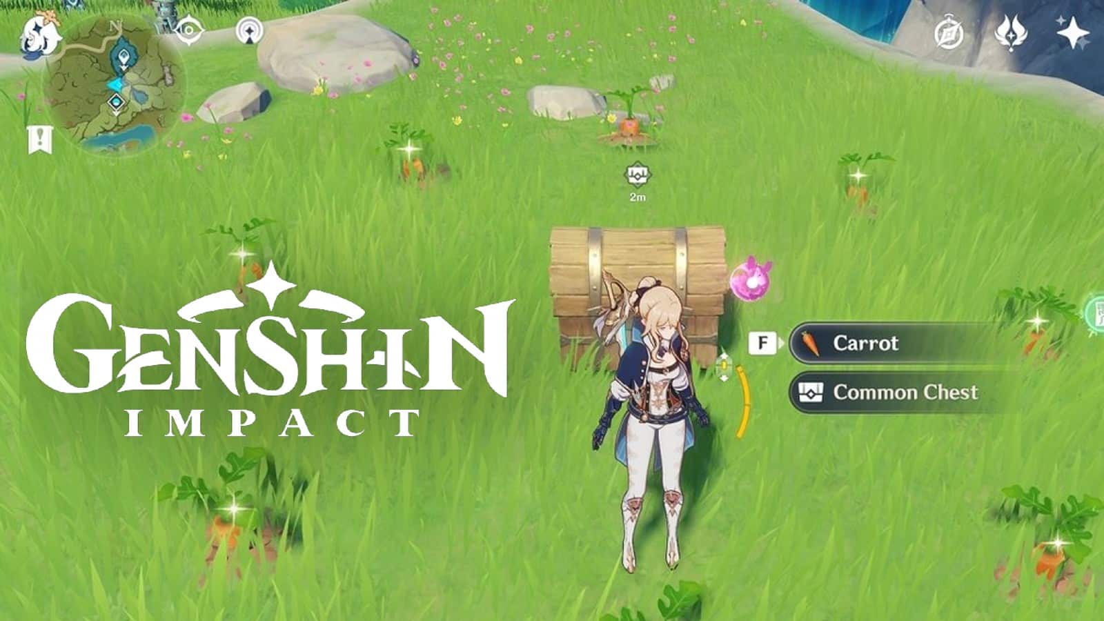 So züchten Sie Karotten in Genshin Impact – Alle Standorte