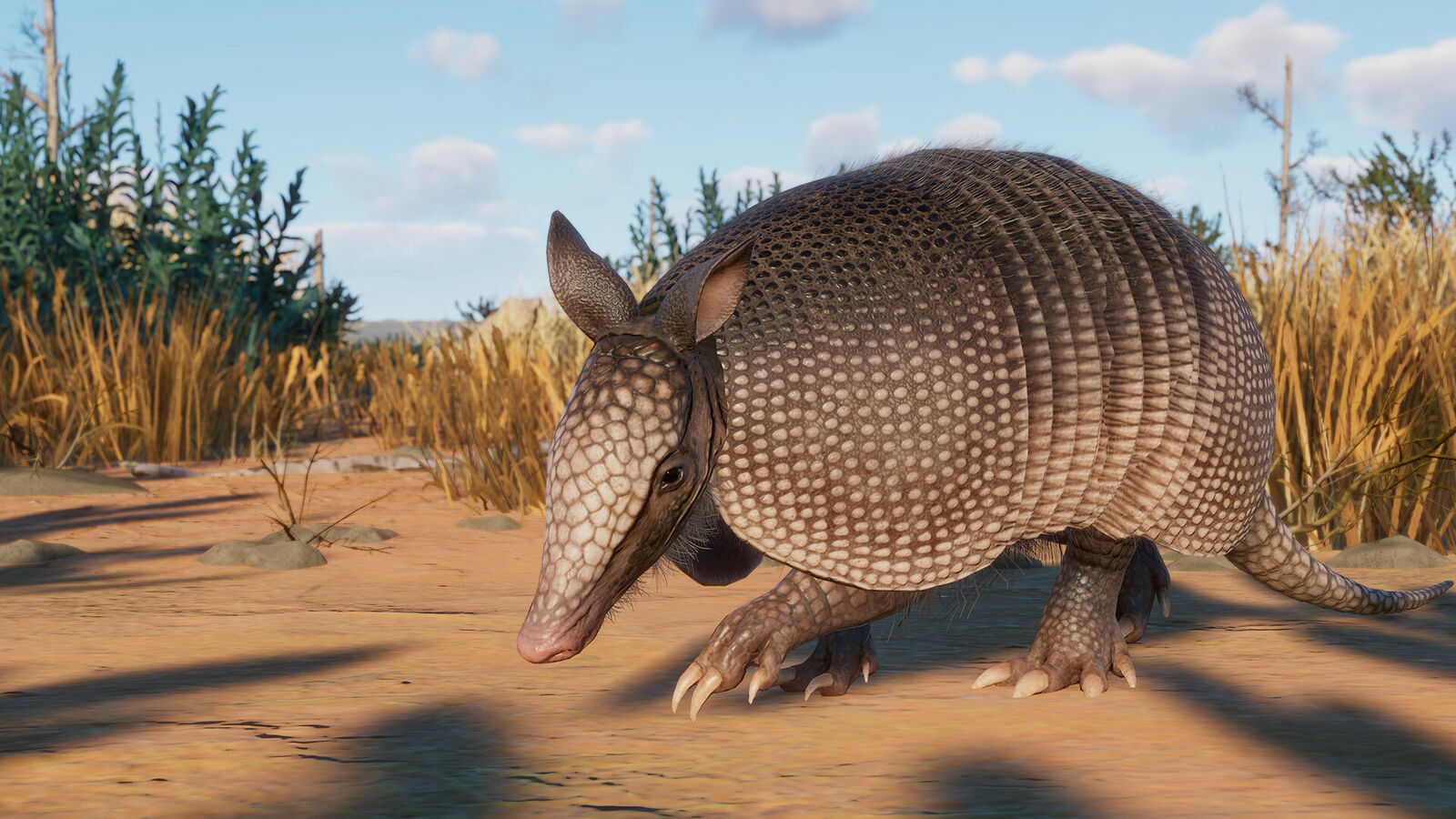 Planet Zoo fügt Emus, Gürteltiere und mehr in der neuen Grasslands-Erweiterung hinzu