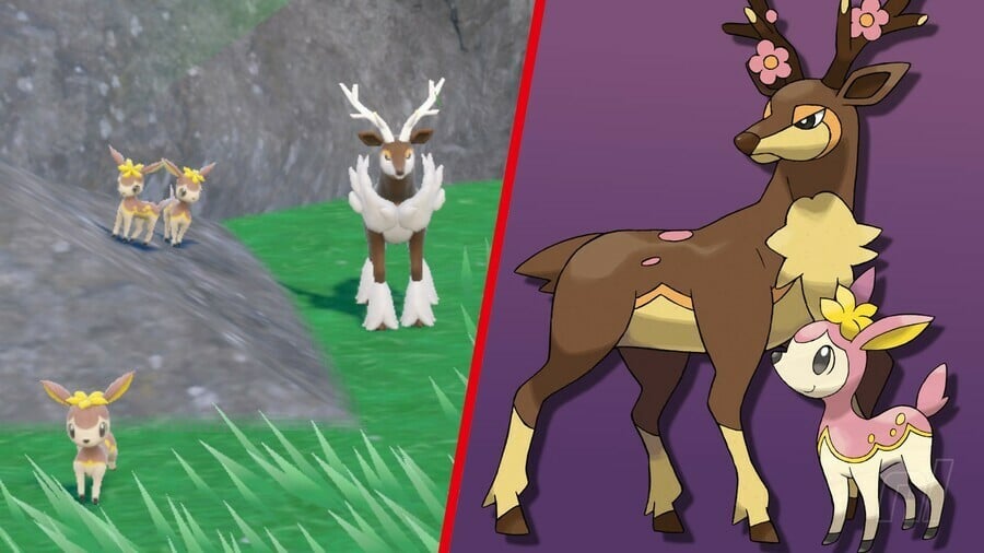 Pokémon Leuchtfeuer 13