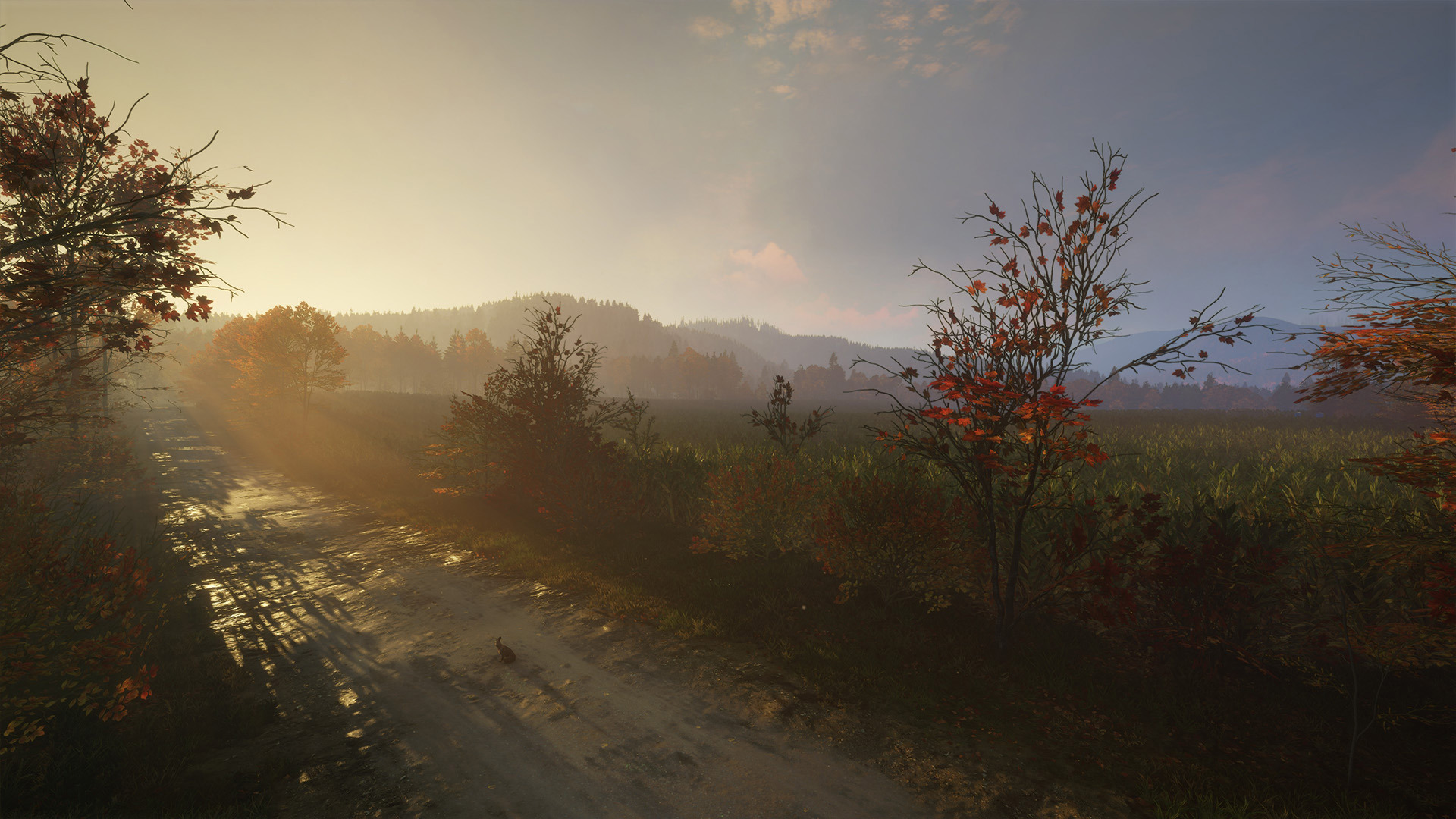 Landschaft