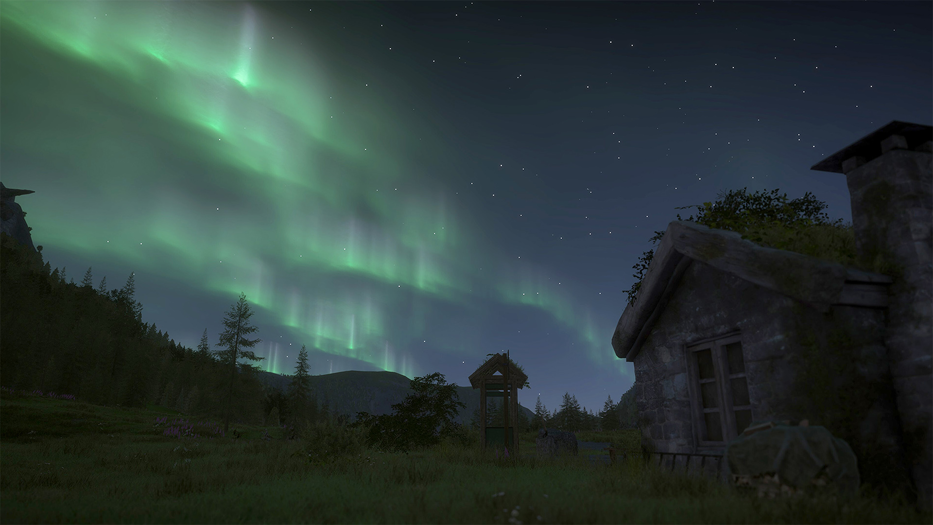 Nordlichter