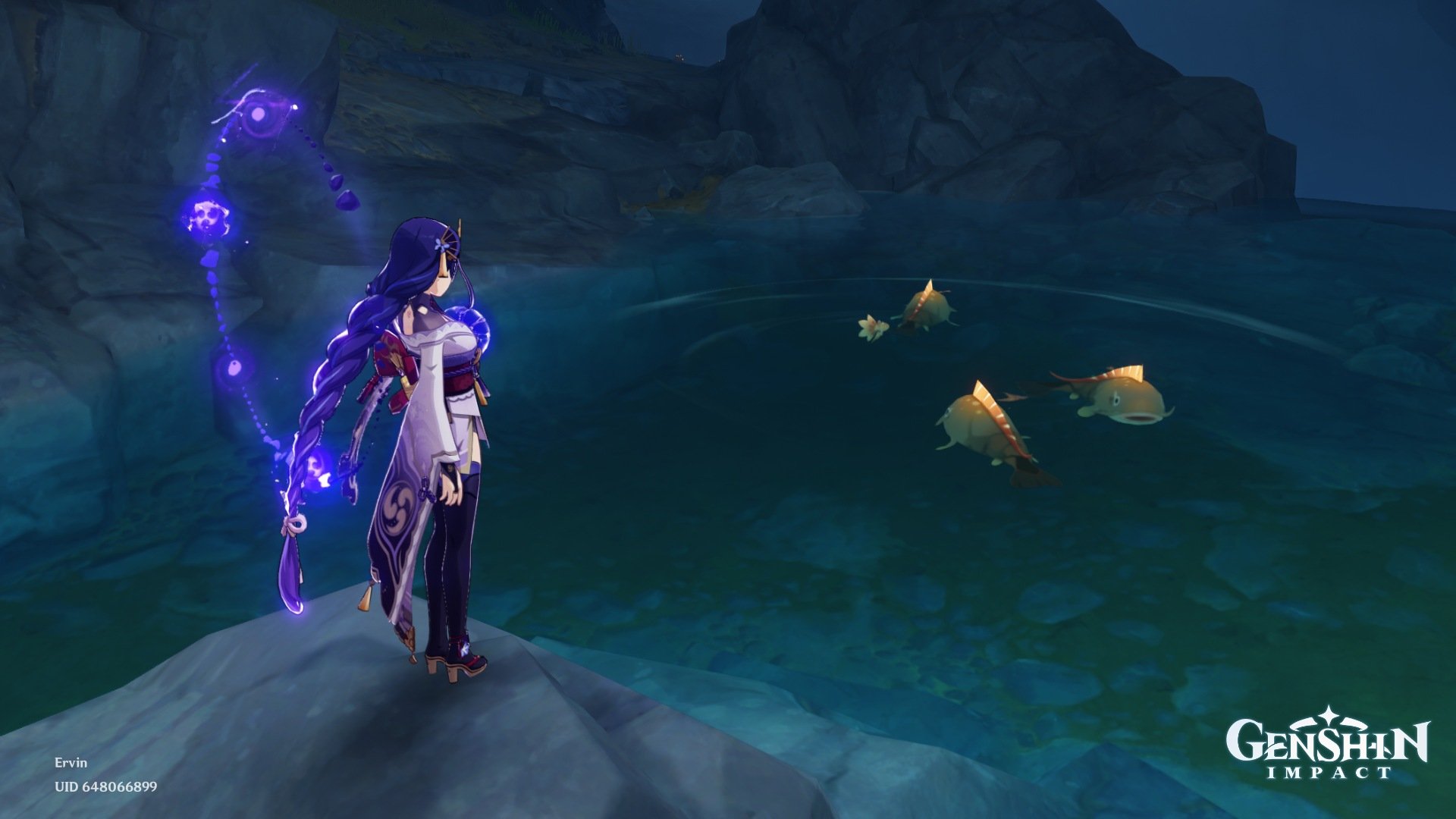 Genshin Impact - Pufferfish Fishing Locations