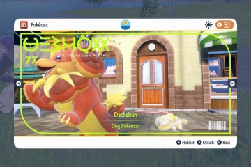 Nehmen Sie mit den besten Unterstützungs-Pokémon von Scharlachrot und Violett Raids auf niedrigen Stufen an