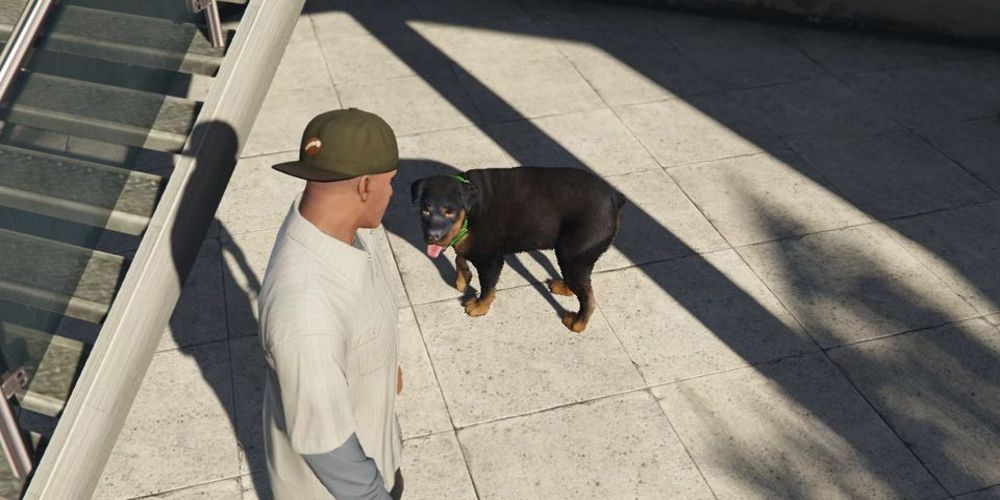 Franklin spielt Apportieren mit Chop in GTA V