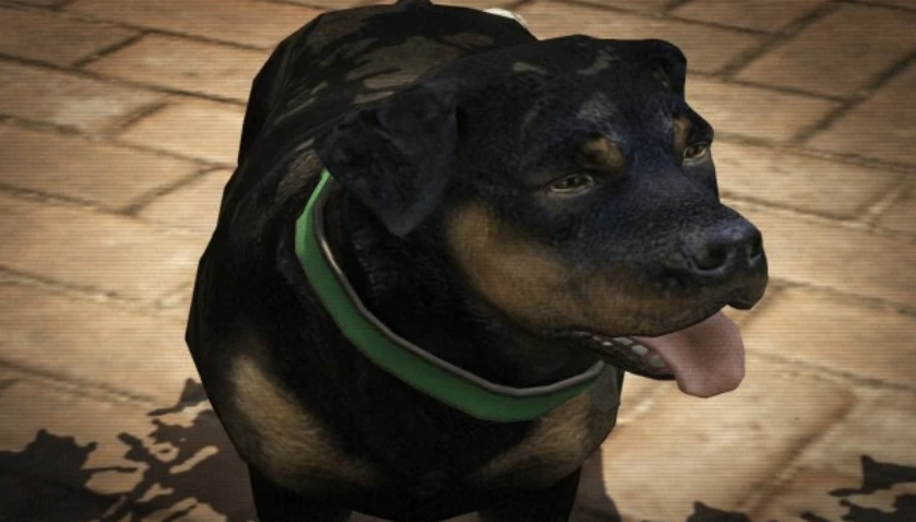 gta v hund hacken