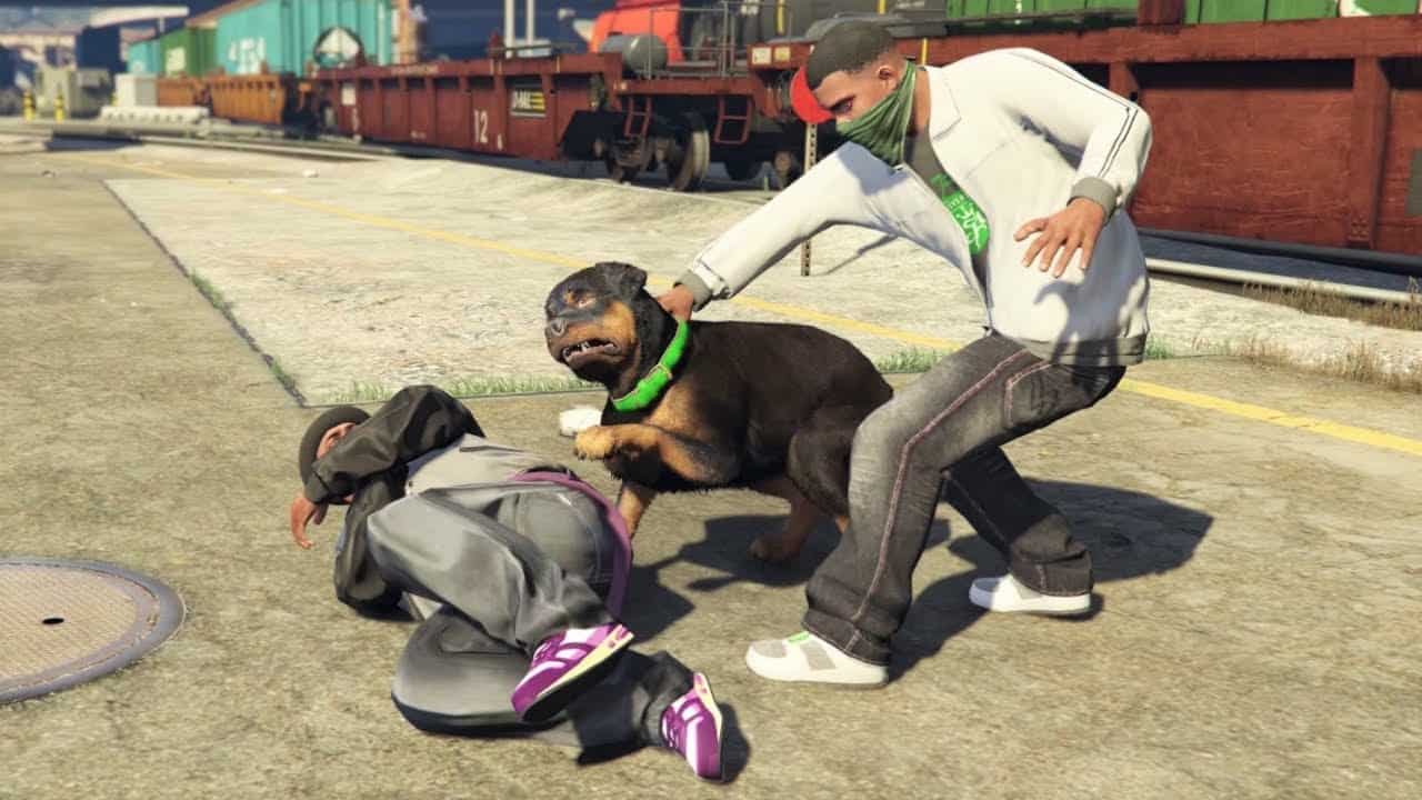 chop gta v angreifen