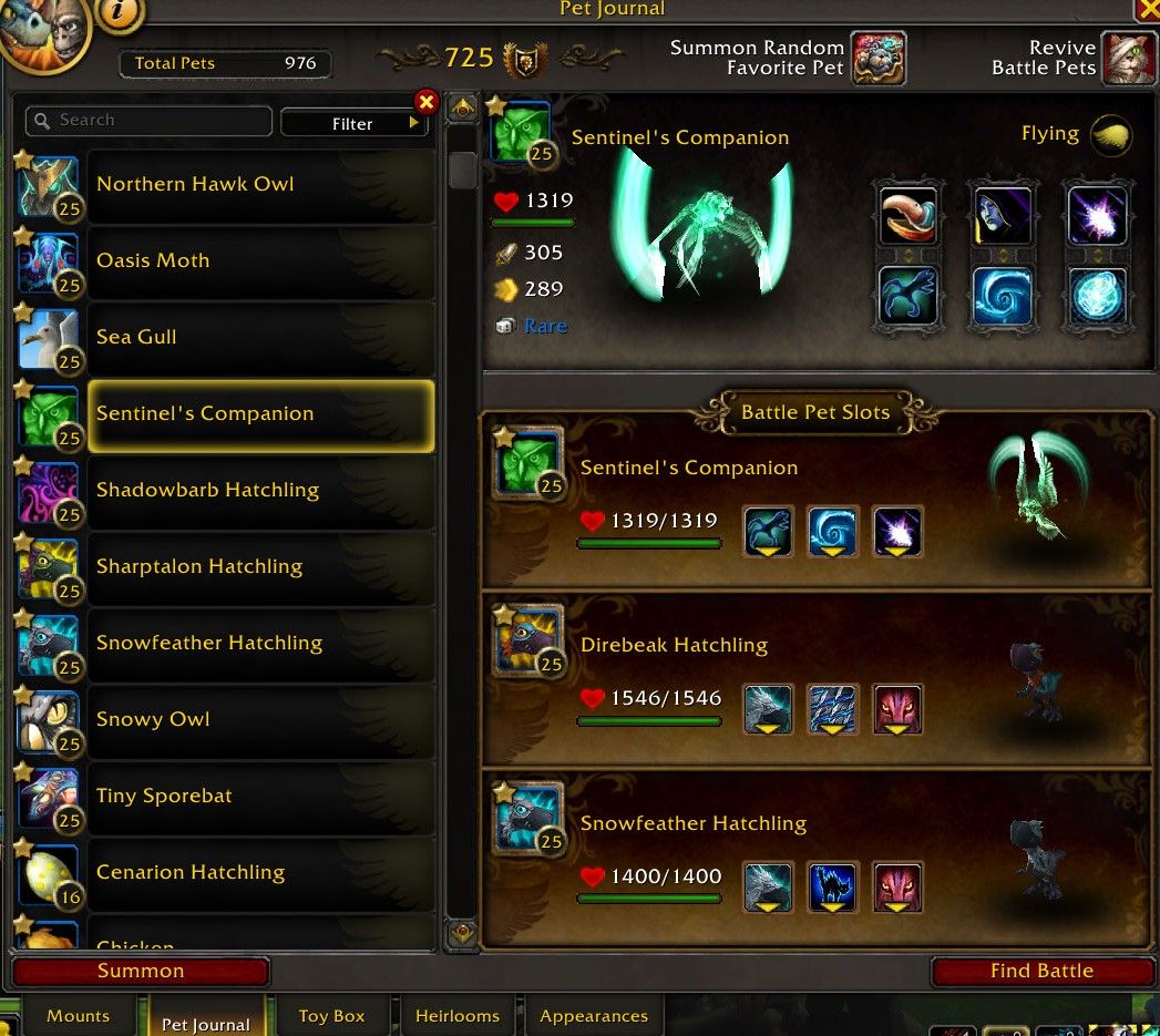 World of Warcraft Bakhushek gegen Flying Pet Team
