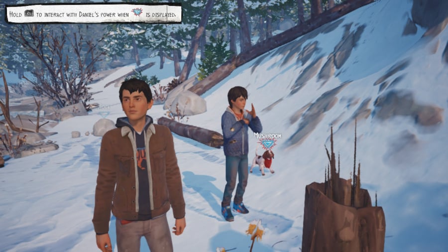 Life is Strange 2 Review – Screenshot 2 von 4