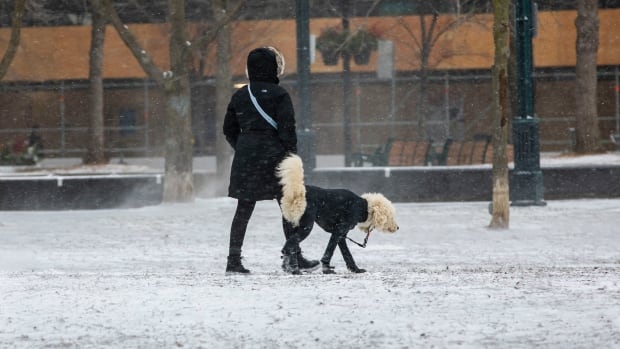 Die Polizei reagiert auf Dutzende von Unfällen, während GTA von Schnee bedeckt wird, und die Stadt erklärt extremen Kältealarm