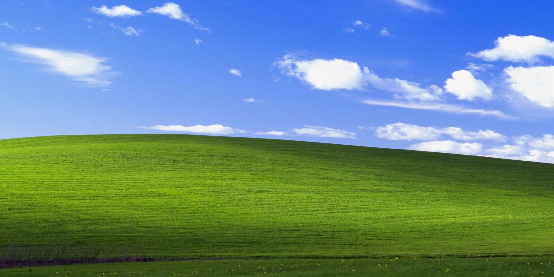 windows-xp-bliss-1800-by-900