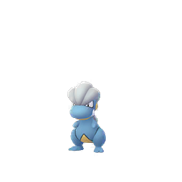 Circuit Pokémon GO Hoenn : glänzende Jagd, Primo-Légendaires, Pokémon-Kostüme... Notre Guide
