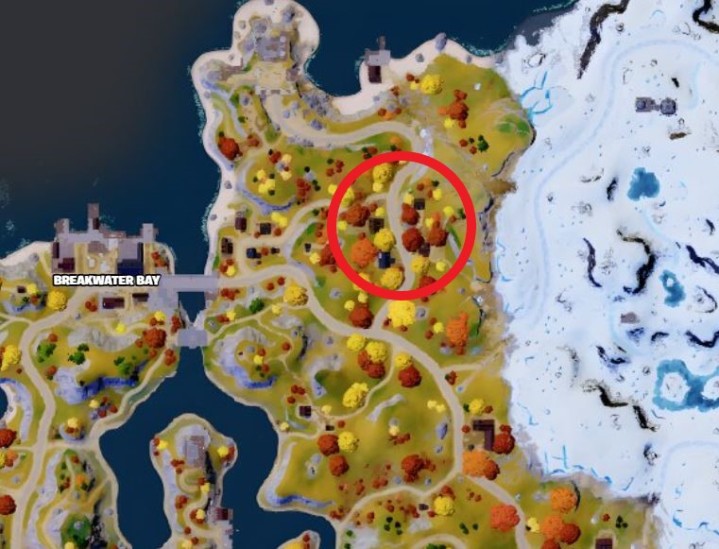 Woodsy Ward in Fortnite.