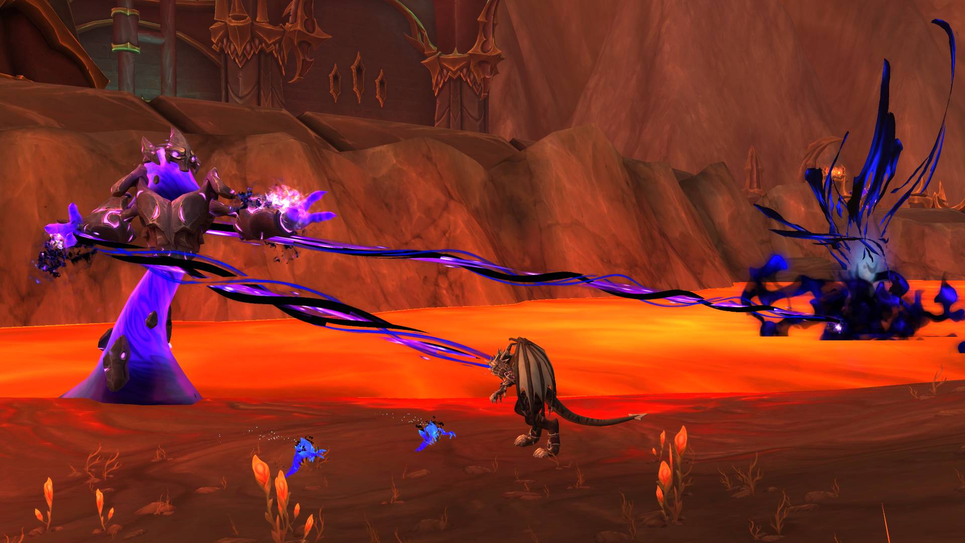 World of Warcraft: Drachenschwarm