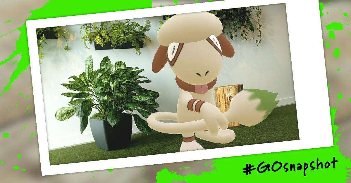 Pokémon GO Smeargle-Foto