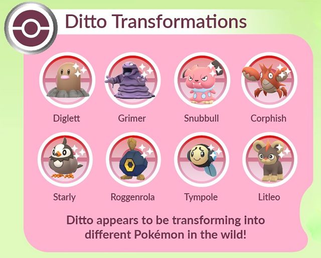 Dito Verwandlung in Pokemon Go