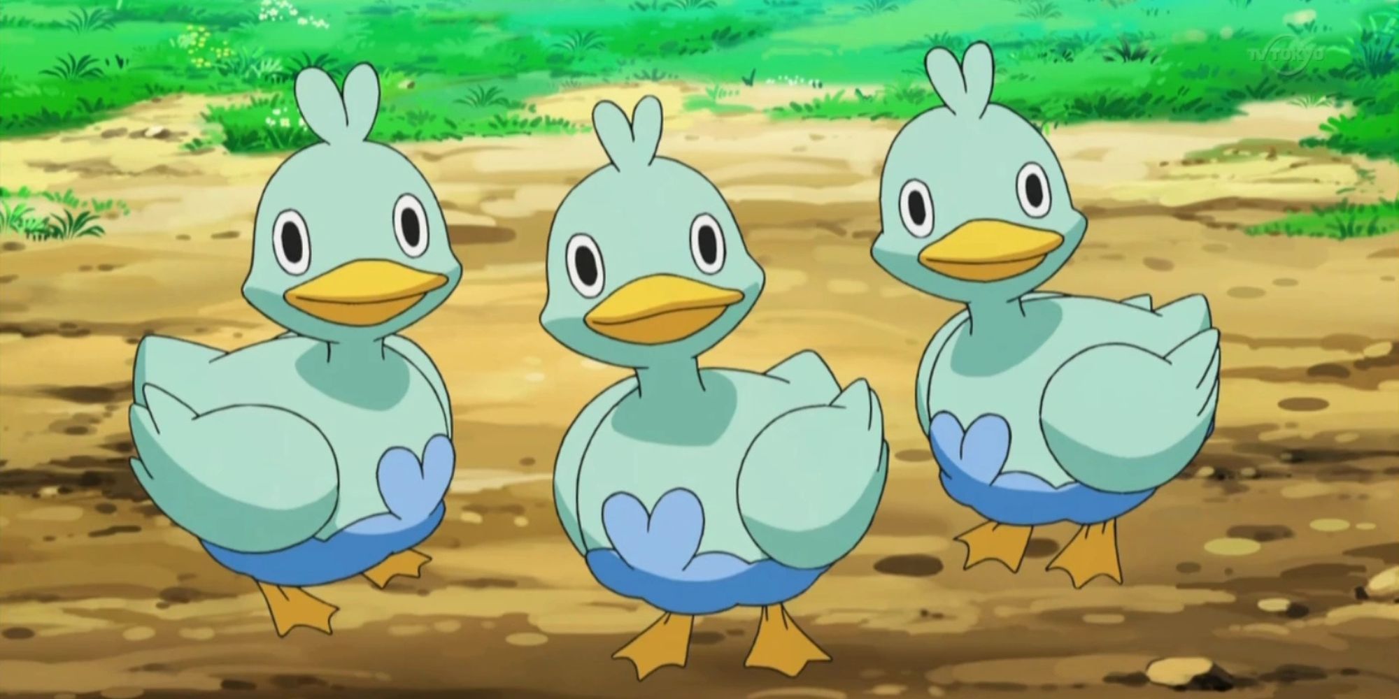 Entchen-Pokémon
