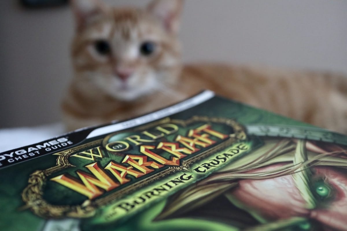 Arten von WoW-Boosting-Diensten: Ein ausführlicher Leitfaden zur Verbesserung Ihres Spielerlebnisses