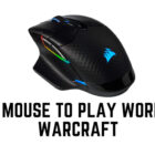 Die 3 besten Mäuse für World of Warcraft: Logitech G502, Razer DeathAdder V2, Corsair Scimitar Pro RGB. Best Mouse for World of Warcraft