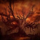Diablo 4 – Grim Favours And Whispers Of The Dead Guide 