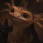 Fans haben sich stark in Star Wars Outlaws Axolotl-ähnlichen Begleiter Nix verliebt 