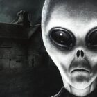 Überprüfung des Greyhill-Vorfalls – IGN 