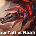 Tall Naafiri