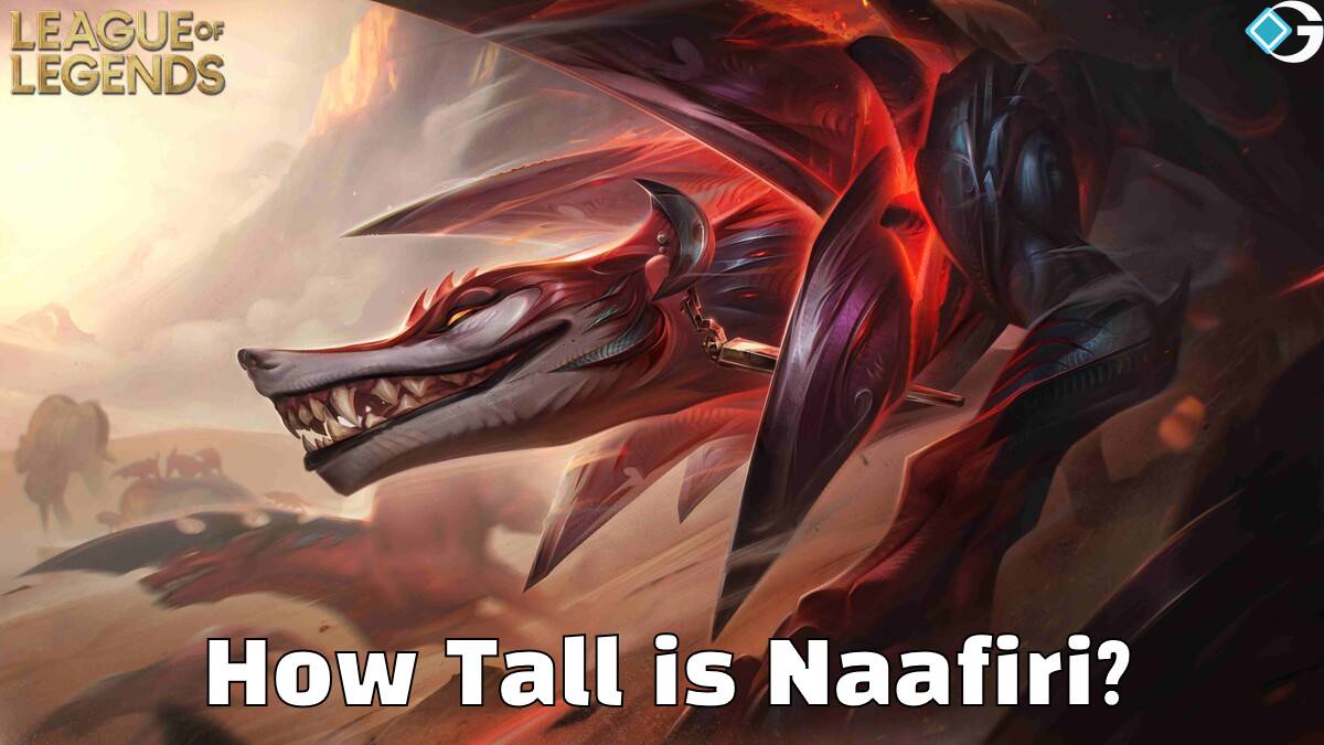 Tall Naafiri