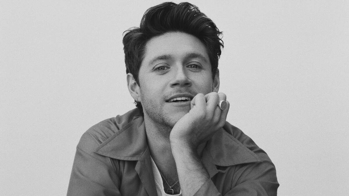 Niall Horan will „die Show“ in iHeartLand in Fortnite und auf Roblox stehlen