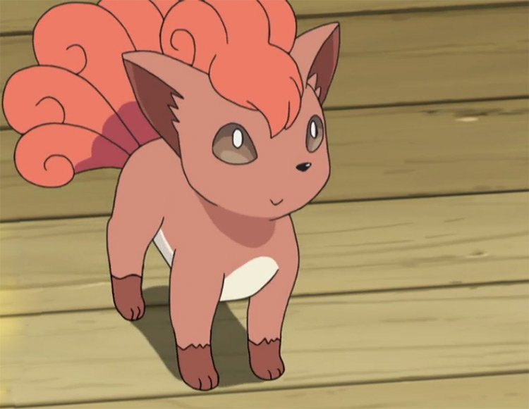 Vulpix‘ Highlight-Stunde in Pokémon GO: Kann es glänzend sein?  - Unbeabsichtigt