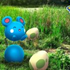 Azurill-Sonderereignis in Pokémon GO im September 2023 Creo Gaming
