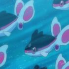 Sie rettet einen „armen Fisch“, der über ein Jahr lang in einer Pokemon-Go-Arena festsitzt Creo Gaming