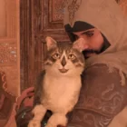 Eine Katze mit dem Emblem des Assassinen in Assassin's Creed Mirage: Entdecken Sie ihre bewegende Geschichte! Creo Gaming