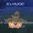 So erhalten Sie Pumpkaboo in Pokémon Go Creo Gaming