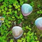 Pokemon Go-Spieler fordern Änderungen an der „schmerzhaften“ Mega-Energie-Sammlung Creo Gaming