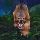 Wo man den Uralten Bären von Ashenvale in WoW Classic Season of Discovery findet Creo Gaming