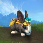 So erhalten Sie das Hoplet-Haustier in World of Warcraft Creo Gaming