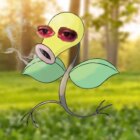 Bellsprout wird beim nächsten Pokemon GO Community Day im Rampenlicht stehen Creo Gaming