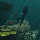 Das Geheimnis des Unterwasser-UFOs in GTA 5: verborgene Geheimnisse und unbeantwortete Fragen Creo Gaming